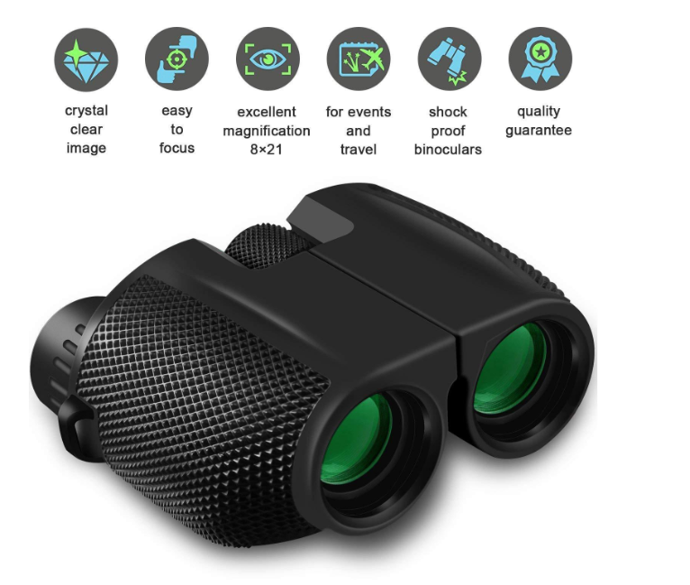 Compact Night Vision Binoculars with Low Light Optics