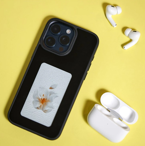 E-Ink Case for Apple Display Screen Phone (One Piece)