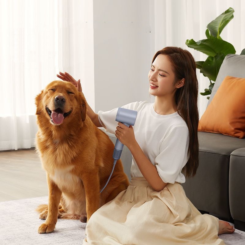 Negative Ion Quick Dry Hair Dryer