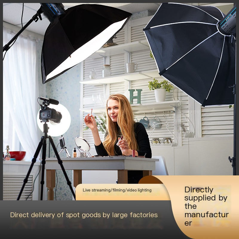300W Dual-Color Continuous Light for Photography